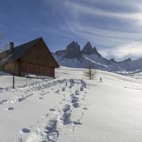 Journée raquettes à la Basse du Gerbier