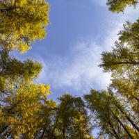 Bien choisir son cadre pour une sieste efficace