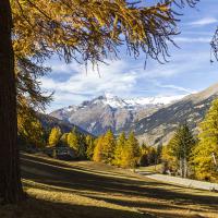 Route du Mont-Cenis à l'automne, face à la Dent Parrachée
