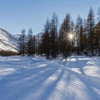 Sur les pistes de ski de fond de Bessans