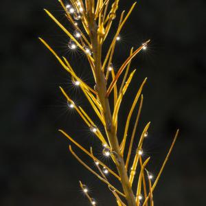 Les guirlandes du sapin