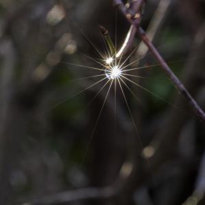 Comme une lampe de poche